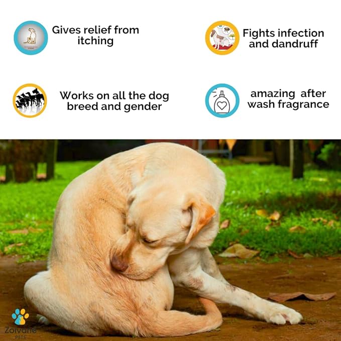 Zoivane Dog Shampoo | Ditch to Itch & Dog Anti Dandruff Shampoo - 300 Ml | Pack of 1