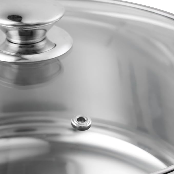 Vinod Roma Stainless Steel Saucepot with Glass Lid - 3 Litre, 20 cm | Sandwich Bottom | Rivetted Handle