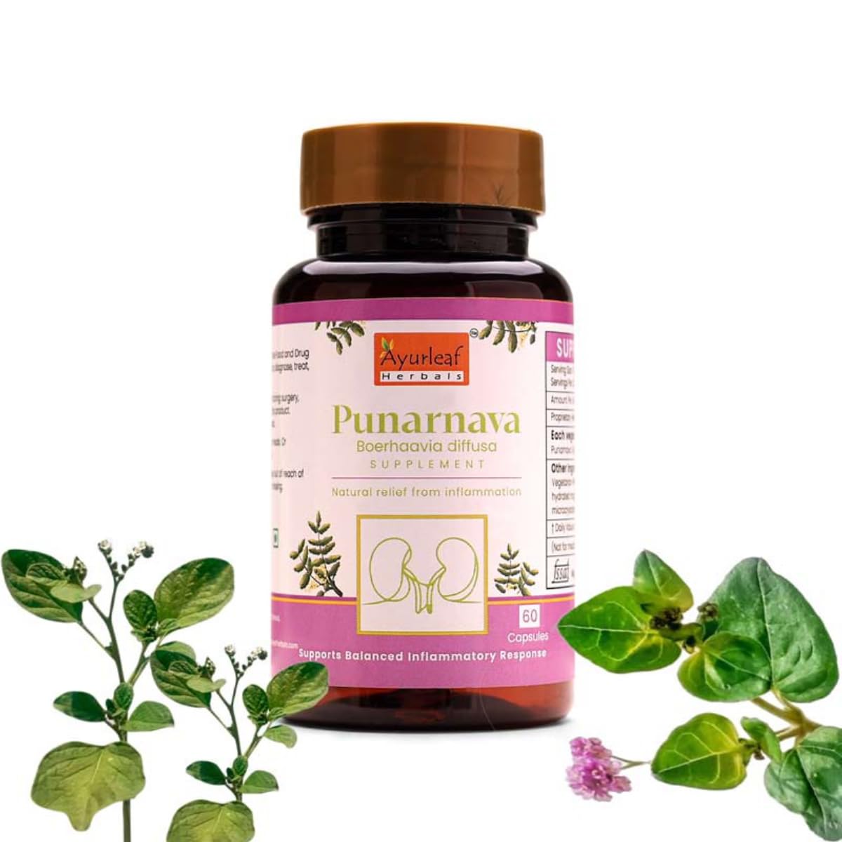 Ayurleaf Herbals Punarnava Capsules - 60 Caps