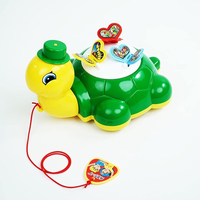Wembley Turtle Butterfly Pull Along Toy Multicolor