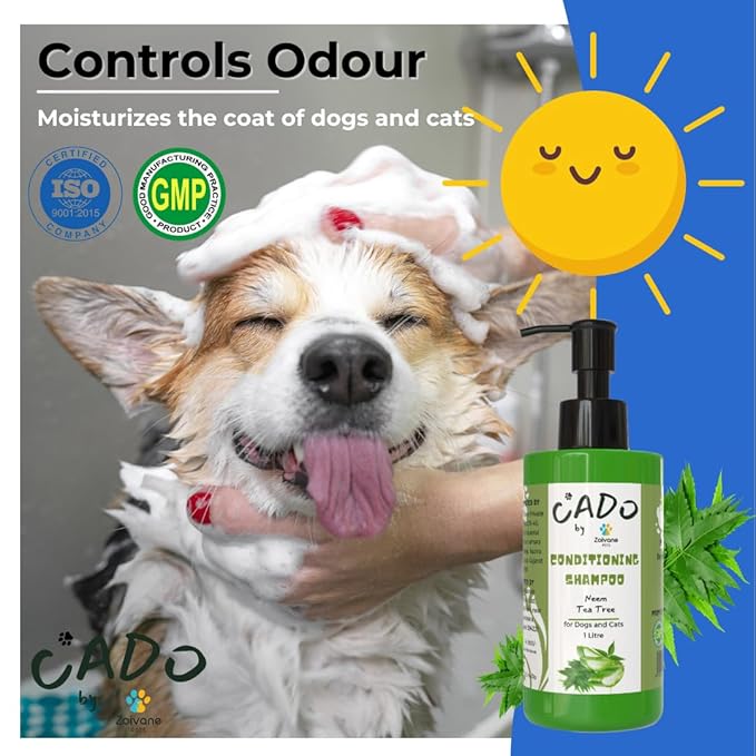 Zoivane Cado Neem Dog Shampoo 1000 Ml | Effective Flea & Tick Control Shampoos for Dogs | Anti-dandruff Formula | Pack of 1