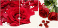 Rangoli MDF 3 Pcs Wall Poster 12x18 Inch Decorative Wall Art P-4 Design-9