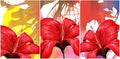 Rangoli MDF 3 Pcs Wall Poster 12x18 Inch Decorative Wall Art P-4 Design-20