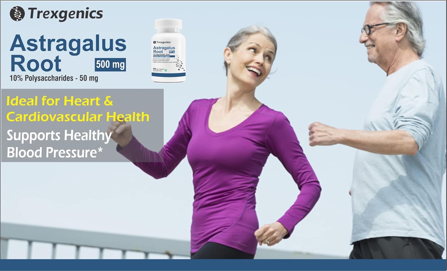 Trexgenics ASTRAGALUS 10% Polysaccharides 500 mg Immunity VEGAN & NON-GMO (60 Veg. Capsules) (Pack of 1)