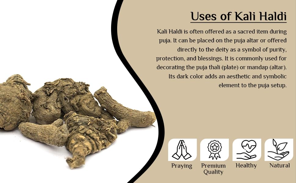 Namo Organics - Kali Haldi Turmeric Original - 150gm - Dried Black Turmeric | kali haldi ki ganth For Pooja | Raw and Natural
