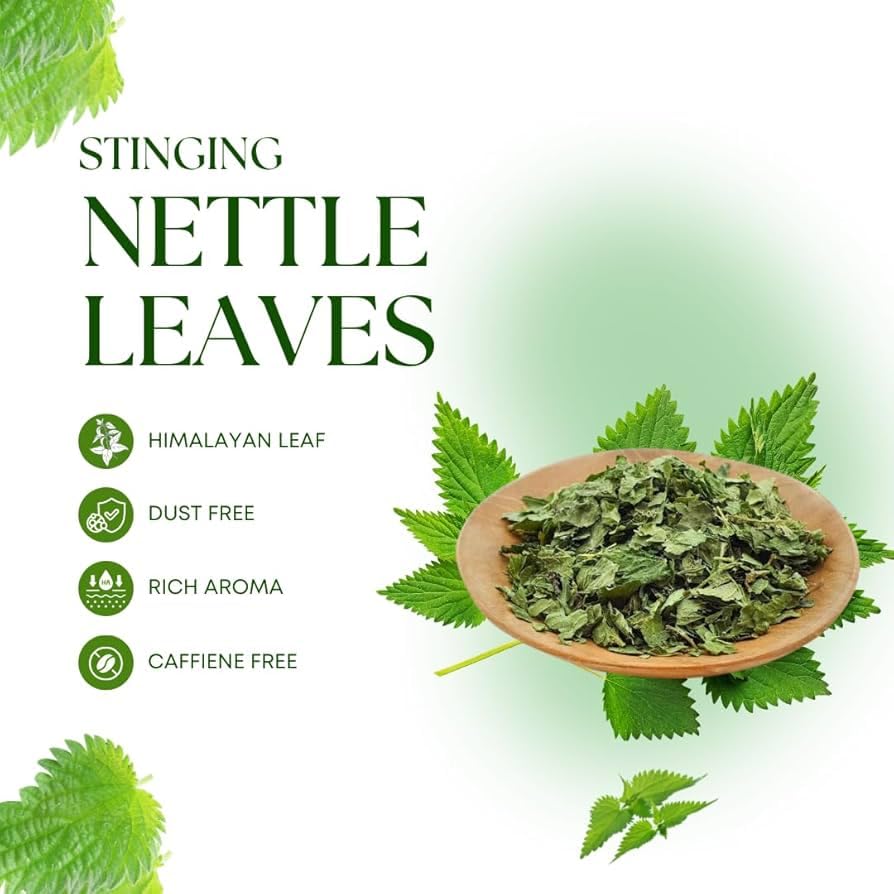 Namo Organics Nettle Leaf Tea - 150g Stinging Health Supporting Herb, Collect From Uttrakhand Belt | Best Herbal Tea