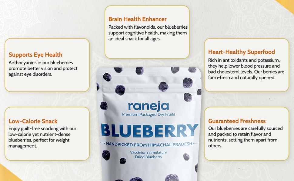 RANEJA 100% Natural Premium Blueberries Without added Sugar | Dried Seedless Blueberries | Dry Fruits | Healthy & Tasty Whole & Dried Blueberry | Rich In Calcium And Vitamin K | Non-GMO(200gm)