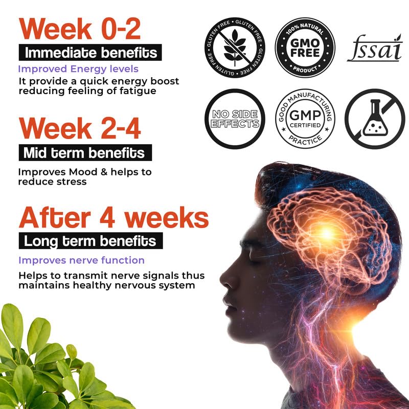 Health Veda Organics Plant Based Vitamin B-Complex Tablets - All essential B Vitamins in One for Hair Growth, Boosts Energy & Immunity - (120 Veg Tablets)