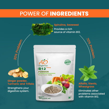 Ao Organic Natural Plant Base B12 Powder