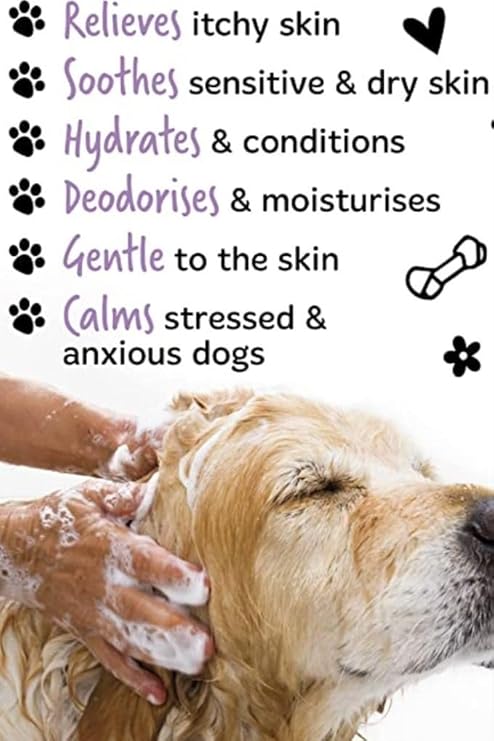Pet Needs Bio Clean Max Shine Dog Shampoo With Soft Silicone Shampoo Dispenser Brush | Moisturising and Gentle on Skin | 500 Ml
