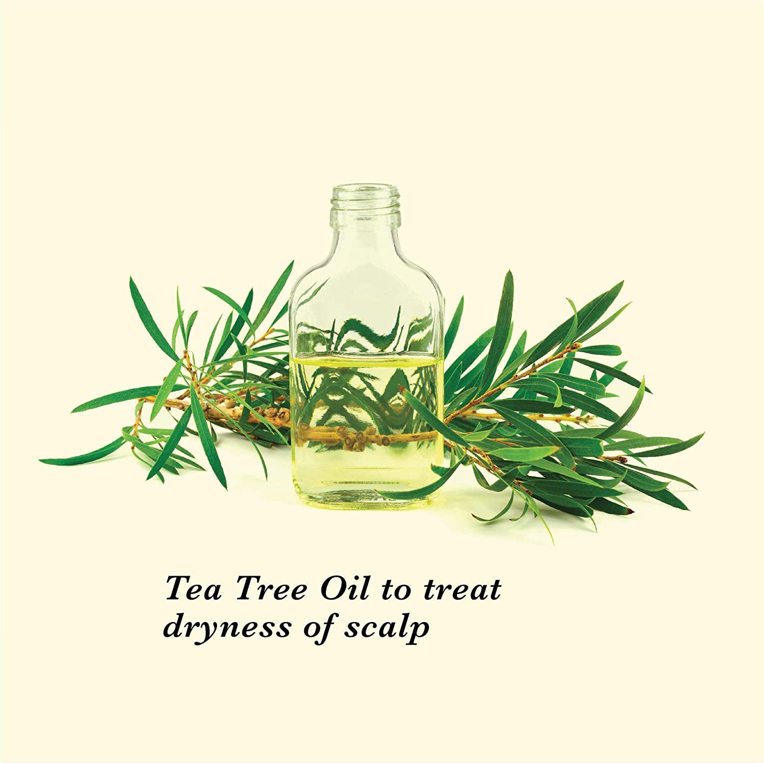 True Frog Anti Dandruff Shampoo for Dry and Frizzy Hair - 250 ml