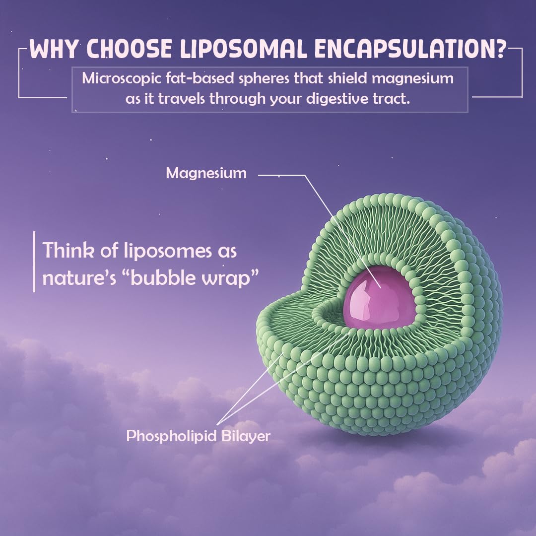 BeastLife Triple Liposomal Magnesium | 3-in-1 Formula with Magnesium Glycinate, Magnesium Oxide & Liposomal Magnesium Oxide | Maximum Absorption | Supports Sleep, Stress & Mood | Muscle, Bone & Nerve Health | 60 Capsules