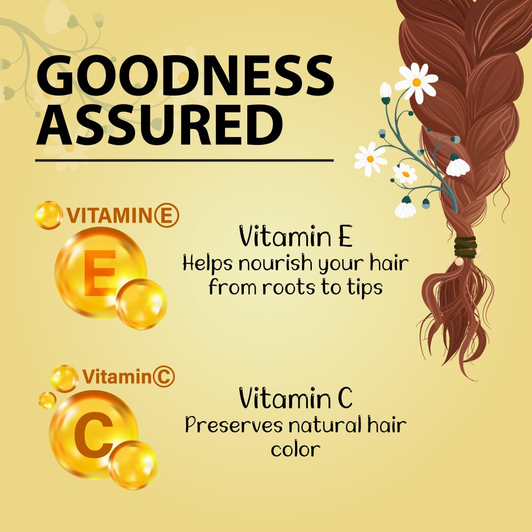 Sunny Herbals Hair Color Burgundy - 20 gms (Pack of 4)