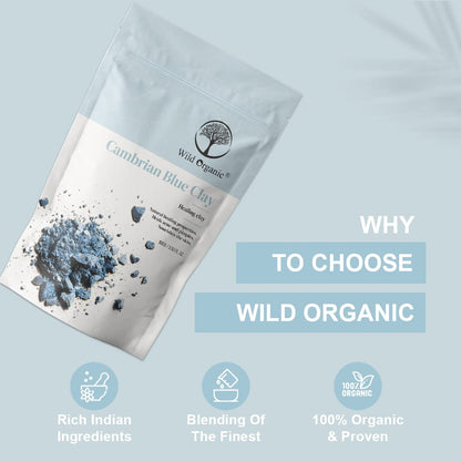 Wild Organic Cambrian Blue Clay Powder - 100 gms