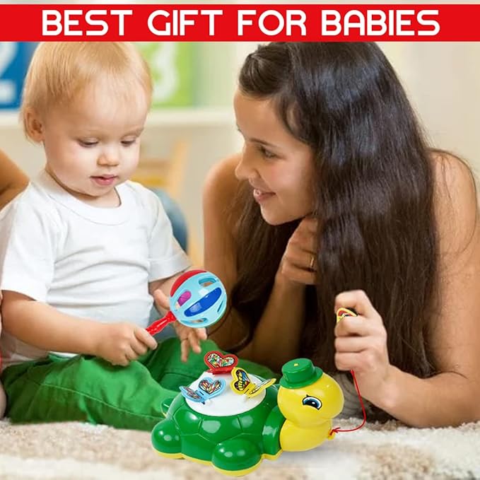 Wembley Turtle Butterfly Pull Along Toy Multicolor