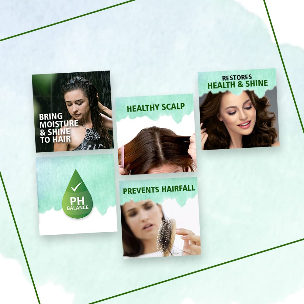 Sunny Herbals New & Improved pH Balanced Arnica Shampoo For Soft Lustrous & Healthy Hair - 250 ml (Pack of 2