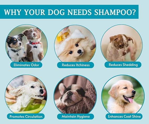 Pet Needs Bio Clean Long Coat Dog Shampoo | Cruelty Free | Moisturising and Gentle on Skin | 200 Ml | Pack of 2