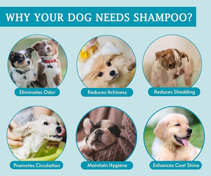 Pet Needs Bio Clean Long Coat Dog Shampoo With Soft Silicone Shampoo Dispenser Brush | Moisturising and Gentle on Skin | 500 Ml