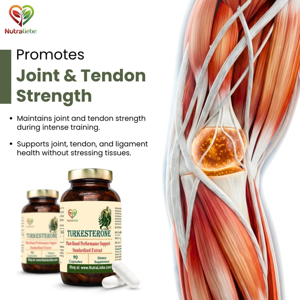 Nutraliebe Turkesterone 500 mg – Ajuga turkestanica Extract Standardized to 10% Turkesterone | Natural Muscle Growth, Strength & Recovery Support | Adaptogenic Plant-Based Anabolic | 90 Vegetarian Capsules | Non-GMO, Gluten-Free