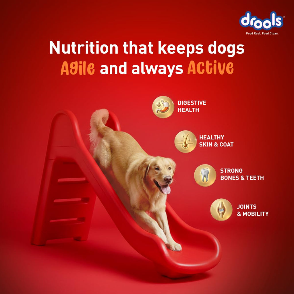 Drools Adult Dry Dog Food 1kg | Turkey and Pumpkin Flavour | Supports Skin Nourishment and Coat Radiance | Promotes Healthy Digestion | Natural Antioxidants | Strengthen Immunity