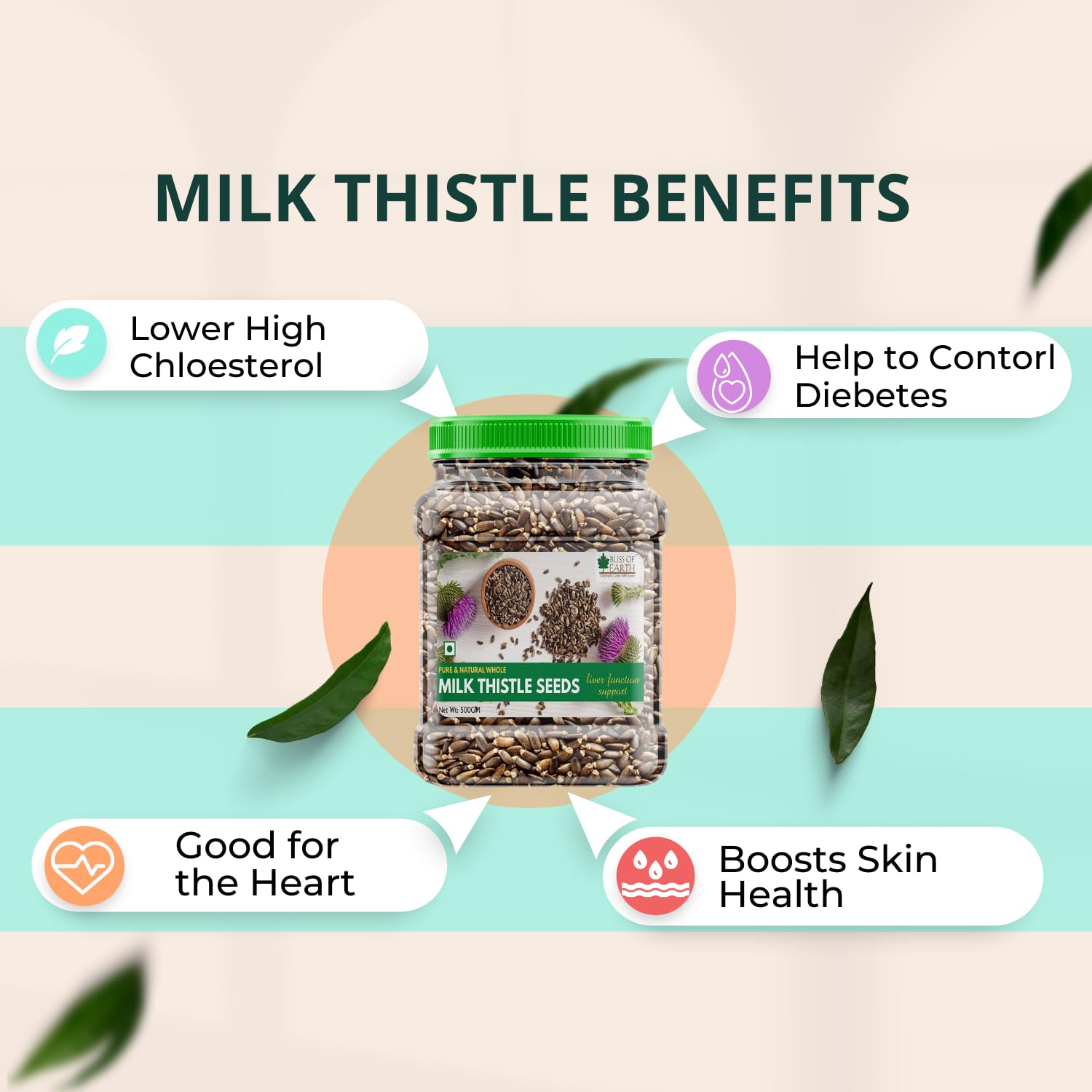 Bliss of Earth 500gm Milk Thistle Seeds Organic Super Food Great for Guts Health & Boost Immunity (Pack of 1)