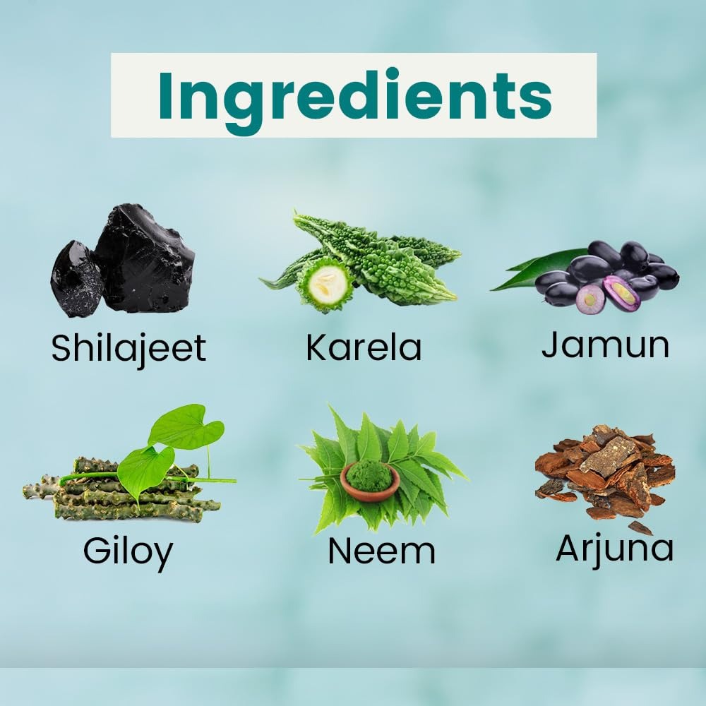 Kudos Karela Jamun Powder - 200 gms (Pack of 2)
