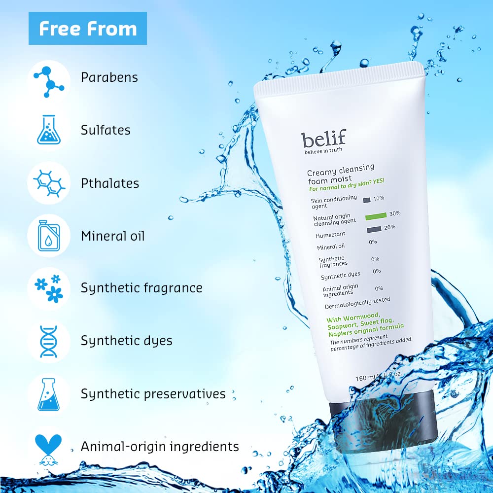 Belif Creamy Cleansing Foam 160ml