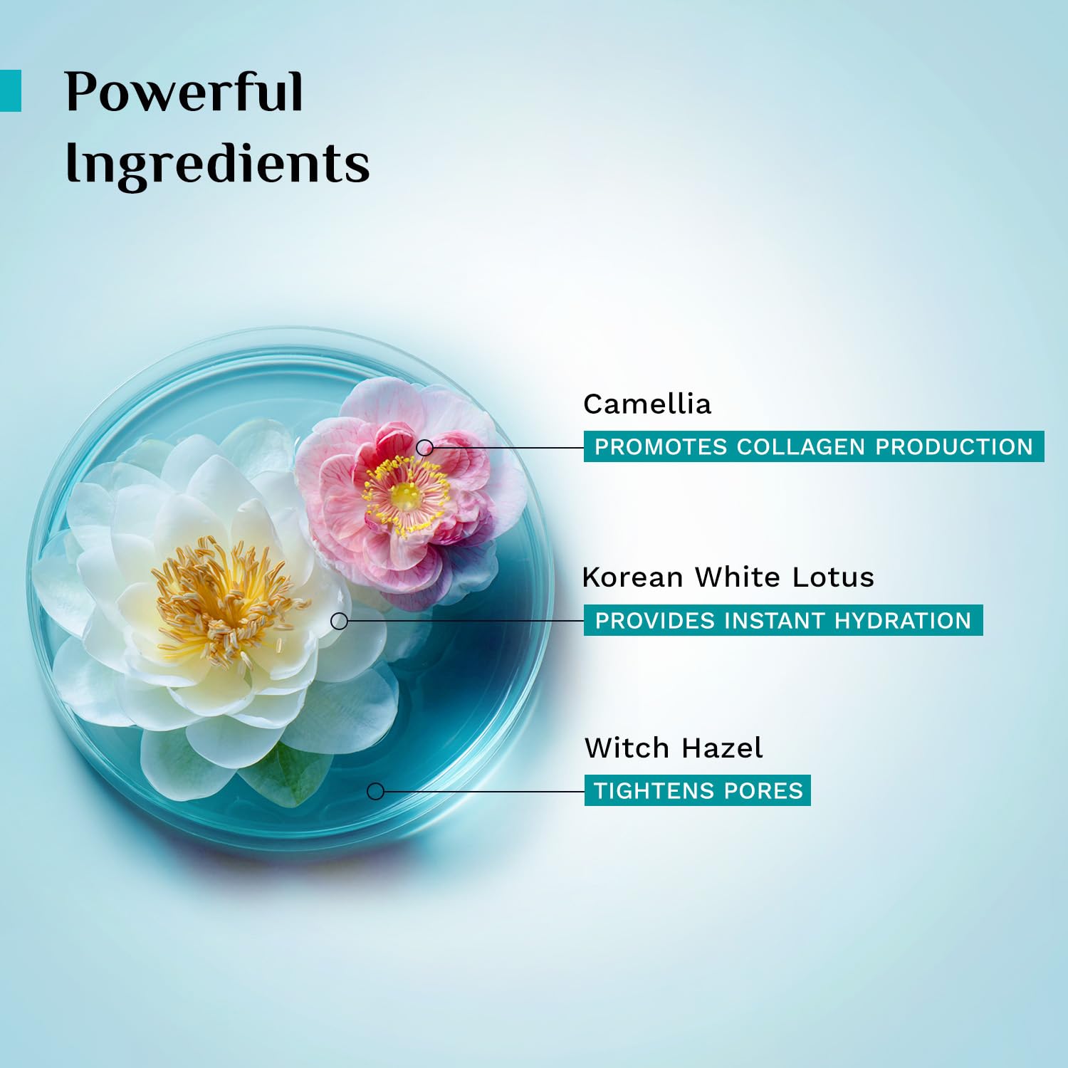 Pilgrim Korean Beauty White Lotus Refreshing Face Mist & Toner | Toner for glowing skin | Alcohol-Free Mist & toner for open pores Tightening | Korean skin care products | Women & Men | 100 ml