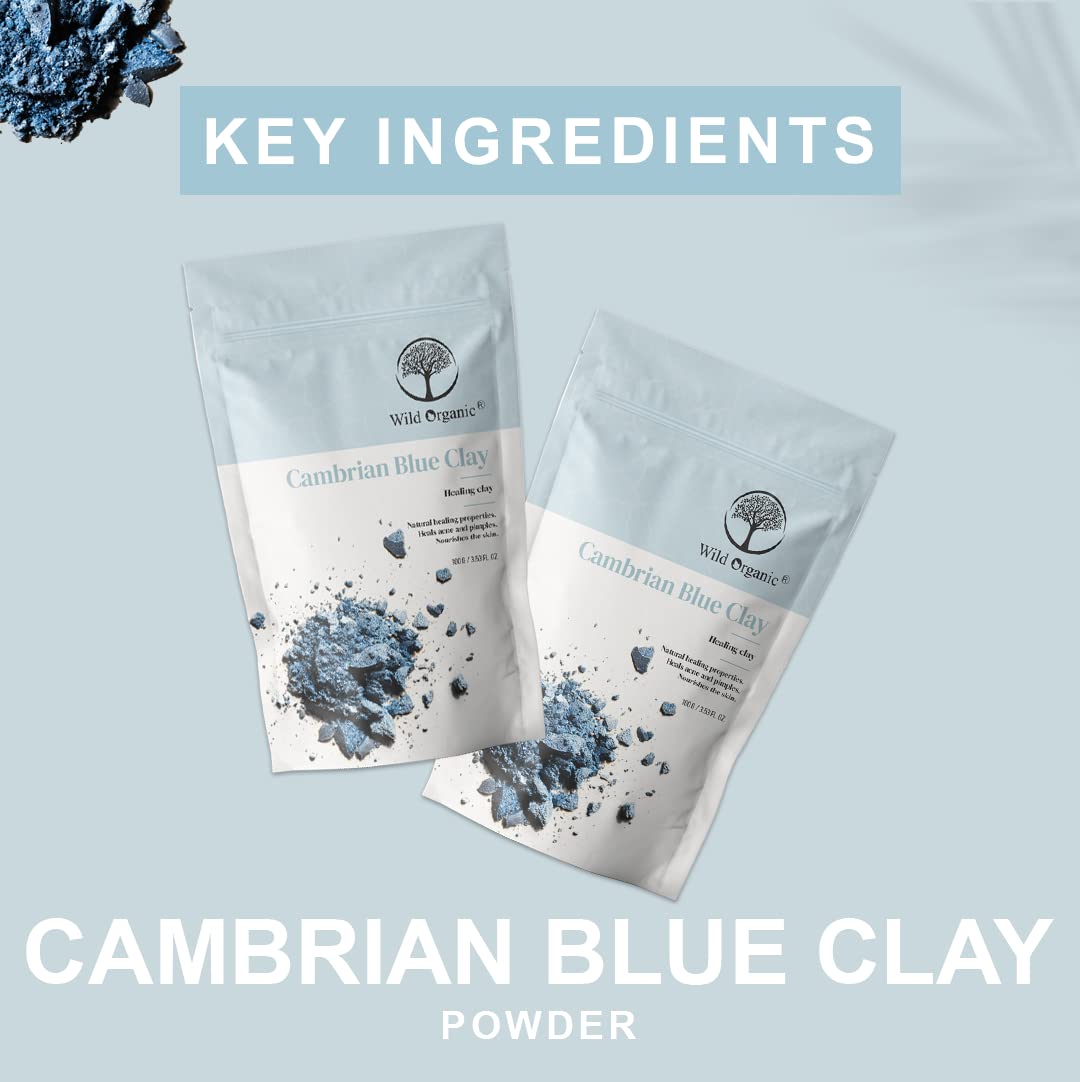 Wild Organic Cambrian Blue Clay Powder - 100 gms