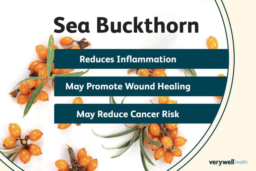 Namo Organics - 500g Himalayan Sea buckthorn Dry Berry â€“ Natural, Sun-Dried, Rich in Omega 3,6,7 and 9, & Vitamin C, E | Dried Seabuckthorn Berries | No Added Sugar or Preservatives