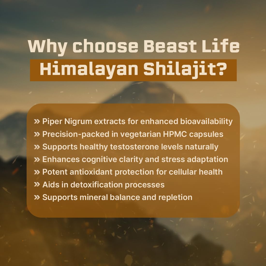 BeastLife Himalayan Shilajit | Pure & Potent Shilajit Supplement | Improve Muscle Strength, Enhances Stamina, Energy & Power | Supports Faster Recovery | Natural & Organic Shilajeet (60 Capsules)
