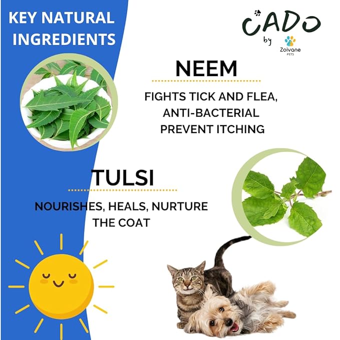 Zoivane Cado Neem Dog Shampoo 1000 Ml | Effective Flea & Tick Control Shampoos for Dogs | Anti-dandruff Formula | Pack of 1