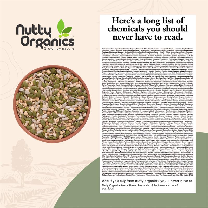 Nutty Organics 7-in-1 Seeds & Nuts Mix| Omega-Rich Superfood | Roasted Pumpkin, Sunflower, Watermelon, Flax, Sesame, Chia & Soya | Healthy Snack | Vegan & Gluten-Free