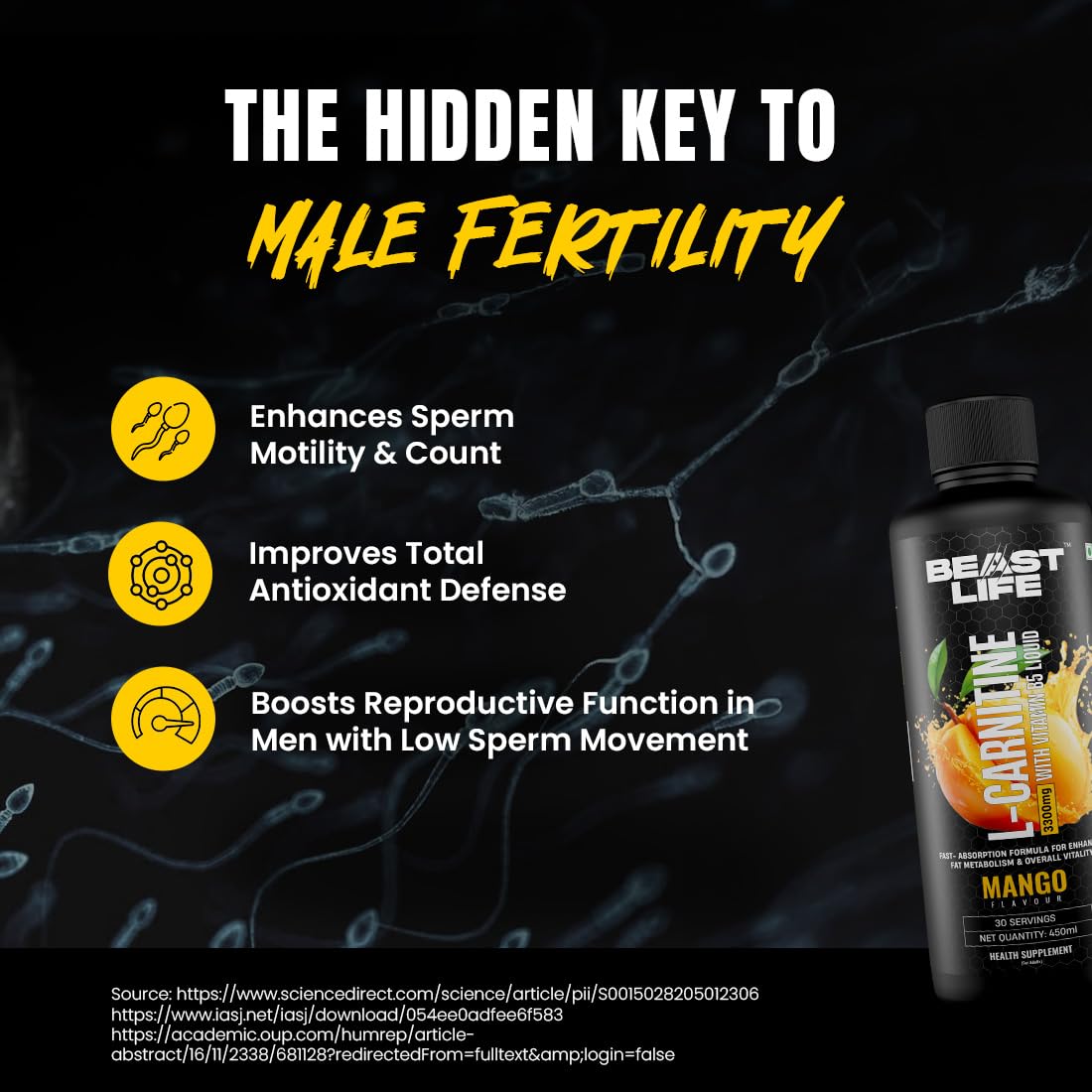 BeastLife L-Carnitine Liquid | 3300mg (Mango Flavor, 450 ml, 30 Servings) Converts Fat to Energy | Triple Strength Formula | Supports Weight Loss | With Vitamin B5 | No Added Sugar