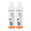 Sunny Herbals Antilice Shampoo With Neem & Camphor - 150 ml (Pack of 2)