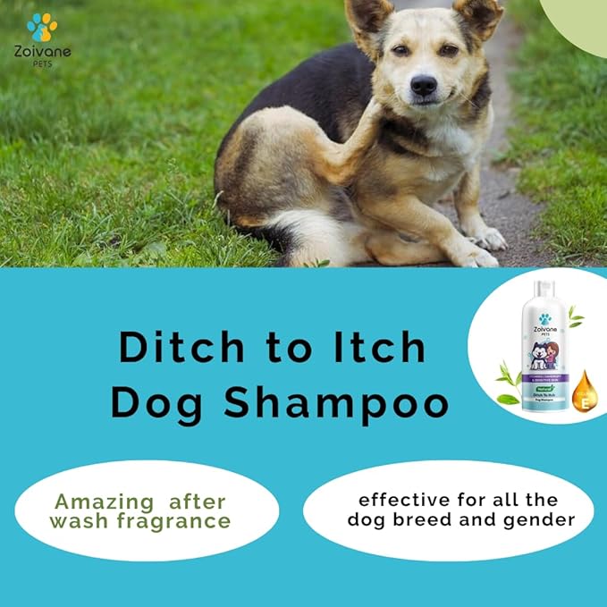 Zoivane Dog Shampoo 500 Ml With Dog Brush | Ditch to Itch & Dog Anti Dandruff Shampoo | Set of 2