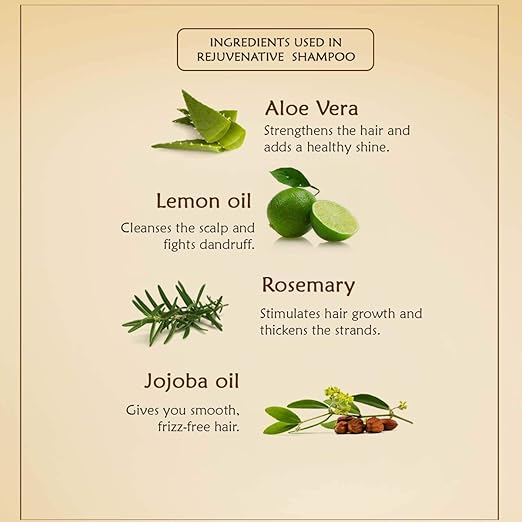 Ancient Living Rejuvenative Shampoo - 50 ml Each (Pack of 3)
