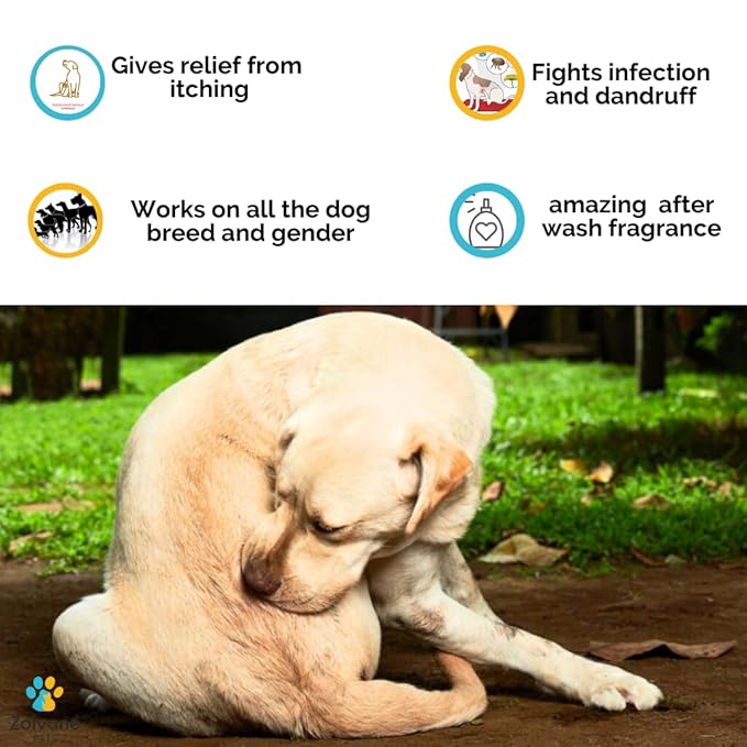 Zoivane Dog Shampoo 500 Ml With Dog Brush | Ditch to Itch & Dog Anti Dandruff Shampoo | Set of 2