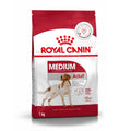 Royal Canin Medium Adult Dog Food, Dry Food, Provides Muscle Mass, Supports Complex Natural Defense & Optimal Health Support, 1 Kg