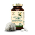 Nutraliebe Lion’s Mane Mushroom Extract 500 mg – Hericium erinaceus Standardized to Beta (1,3)(1,6)-Glucans | Brain Health, Memory & Focus Support | Nerve Growth Factor (NGF) Booster | 90 Vegetarian Capsules | Non-GMO, Gluten-Free