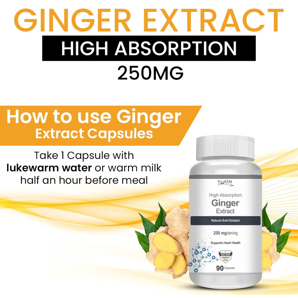 Vokin Biotech Ginger Extract 5% Gingerols Natural Digestion Supplement - Improve Gastrointestinal Health 90 Veg Capsules Pack of 1