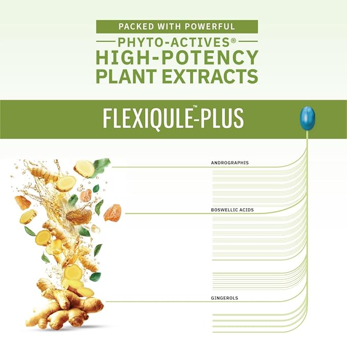 Alchem Life Flexiqule-plus Joint Support 10 Capsules