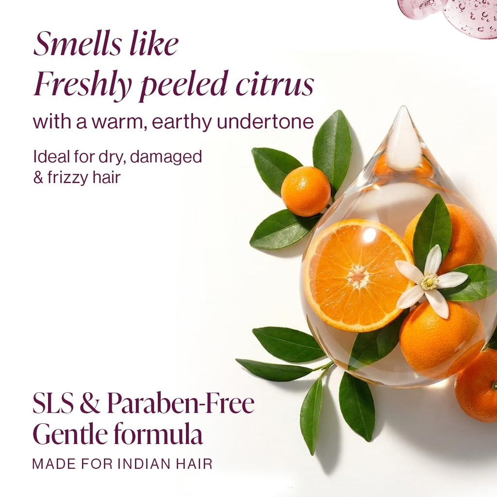 Hydrating Shampoo, Dry Hair, Frizzy Hair, Bond Repair, Moisturizing, Nourishing, Strengthening, Frizz Control, Hair Repair, Chemically Treated Hair, SLS Free, Paraben Free, Salon Care, Hair Care, 300ml