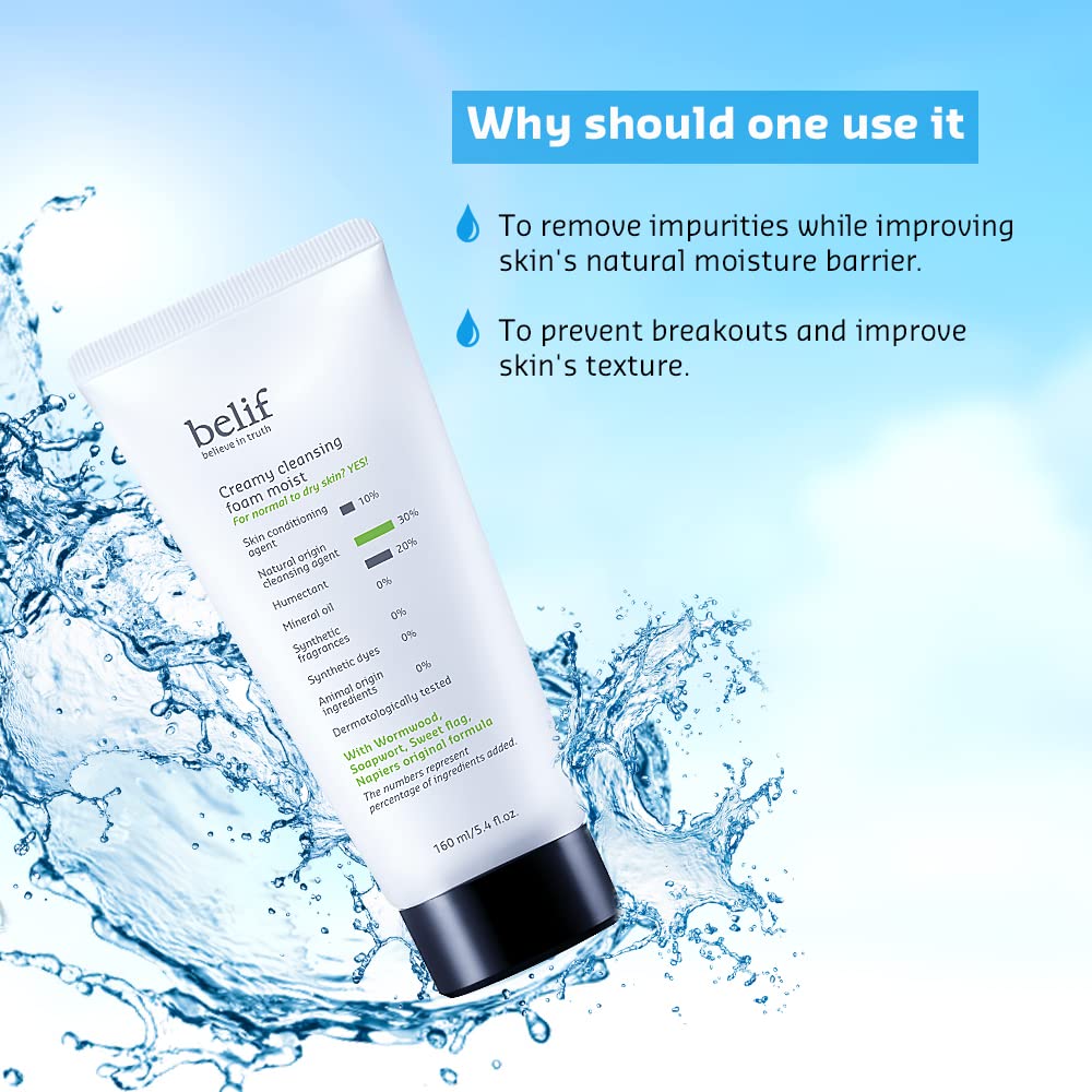 Belif Creamy Cleansing Foam 160ml
