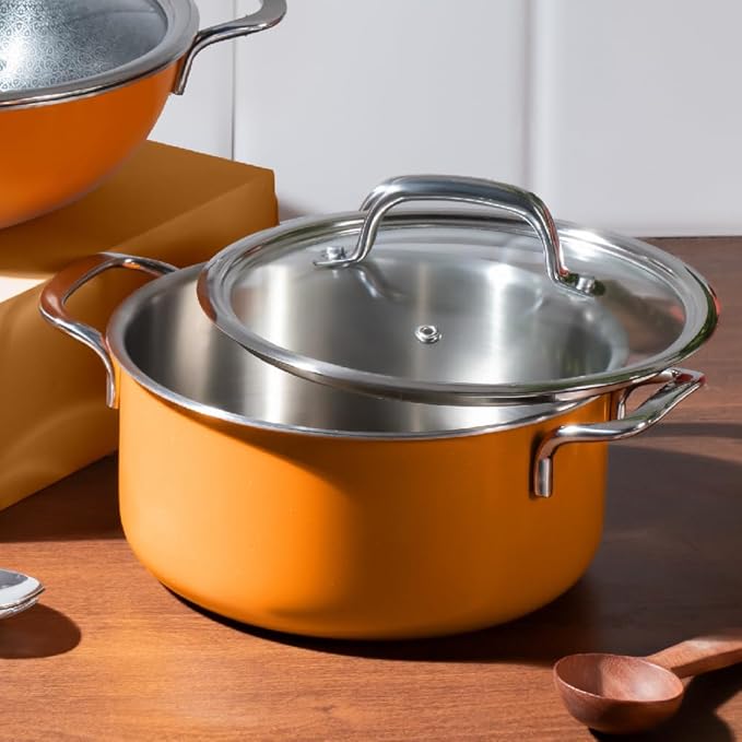 Arttdinox Vida Stainless Steel Triply Pot With Glass Lid for Biryani | 20 Cm | 3 Ltr | Rivetless Handle | Jindal Stainless