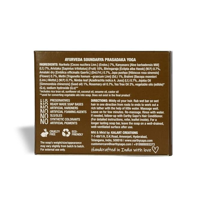 Earthy Sapo Reetha Shampoo Bar for Dry Hair - 100 gms (Pack of 2)