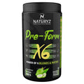 Naturyz Pre - Form X6 Pre Workout Supplement With Highest 19 Nutrients For Extreme Pump,Powder,Endurance,Energy,Focus,Muscle Builder,Vitamins & Electrolytes- 400 grams (Aam Panna Flavour)