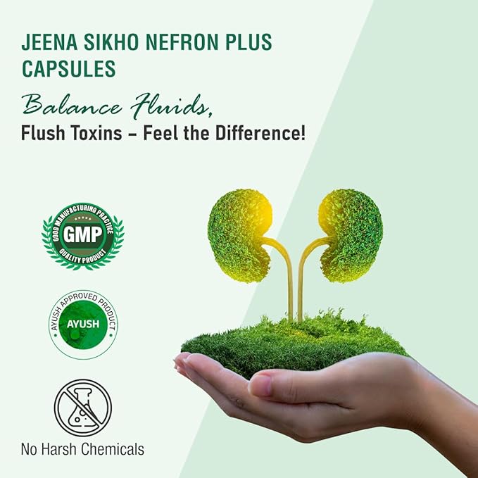 Jeena Sikho Nefron Plus | Herbal Kidney Wellness Capsules - 60 Caps