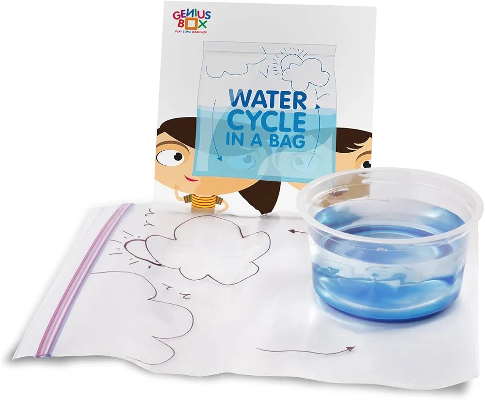 Genius Box Play some Learning Educational Toy For 5 Years And Up: Our Precious Earth Diy, Activity Kit, Experiment, Learning Kit, Educational Kit, Stem Toy