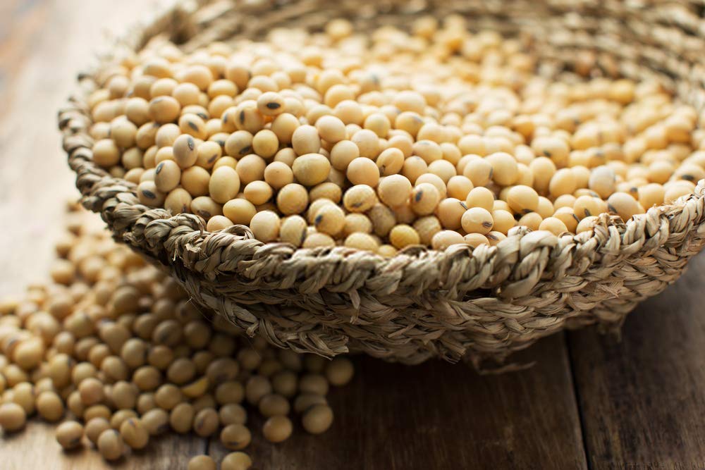 Jioo Organics Soya Bean Grain - 250 gms